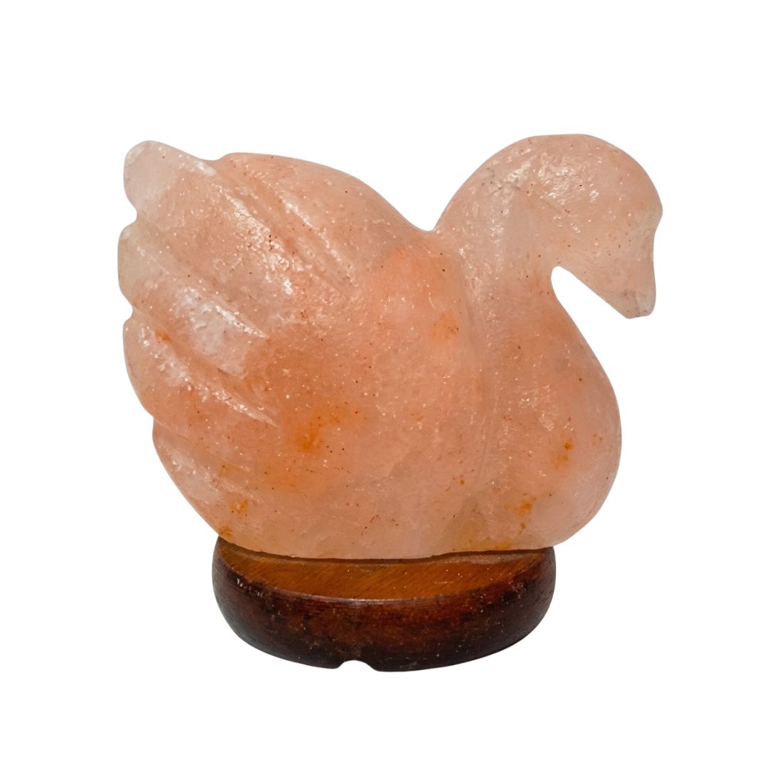 duck shape Himalayan salt lamp glowing 7 colors