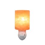 Himalayan Salt Cylinder Night Light
