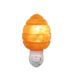 Himalayan Salt Ring Egg Night Light